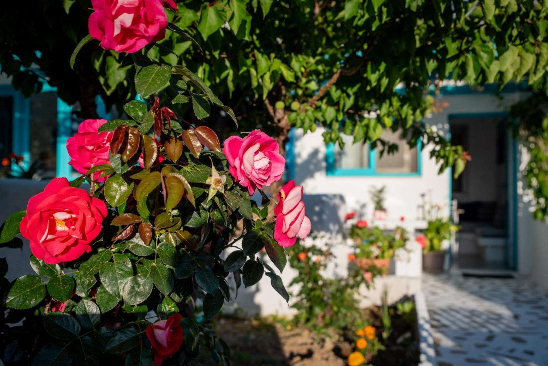 Ferienwohnung Azzurro Naxos, Azzurro I - Azzurro II - Azzurro III Naxos City Exterior foto